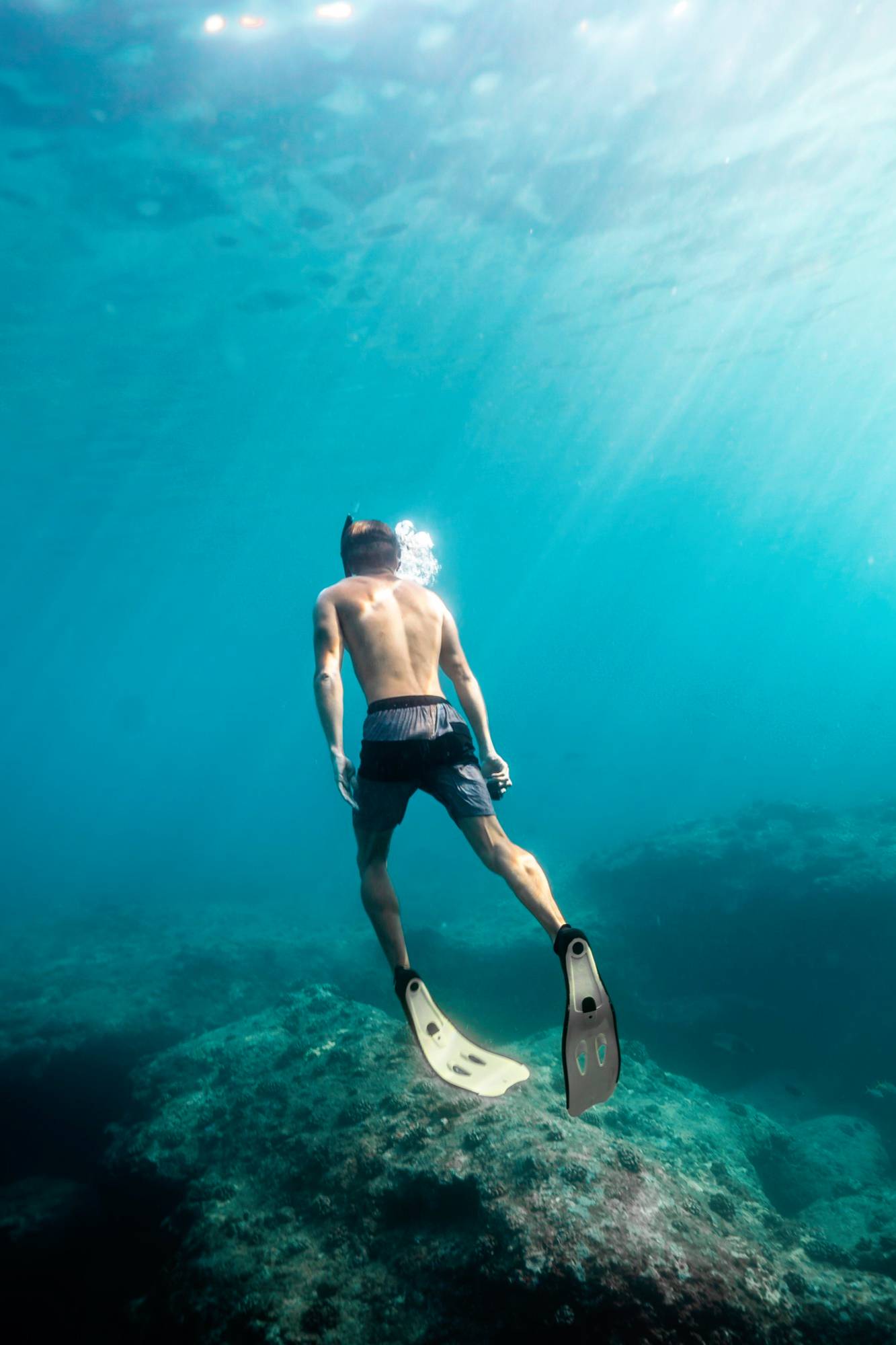 close-up-trees-calm-lake