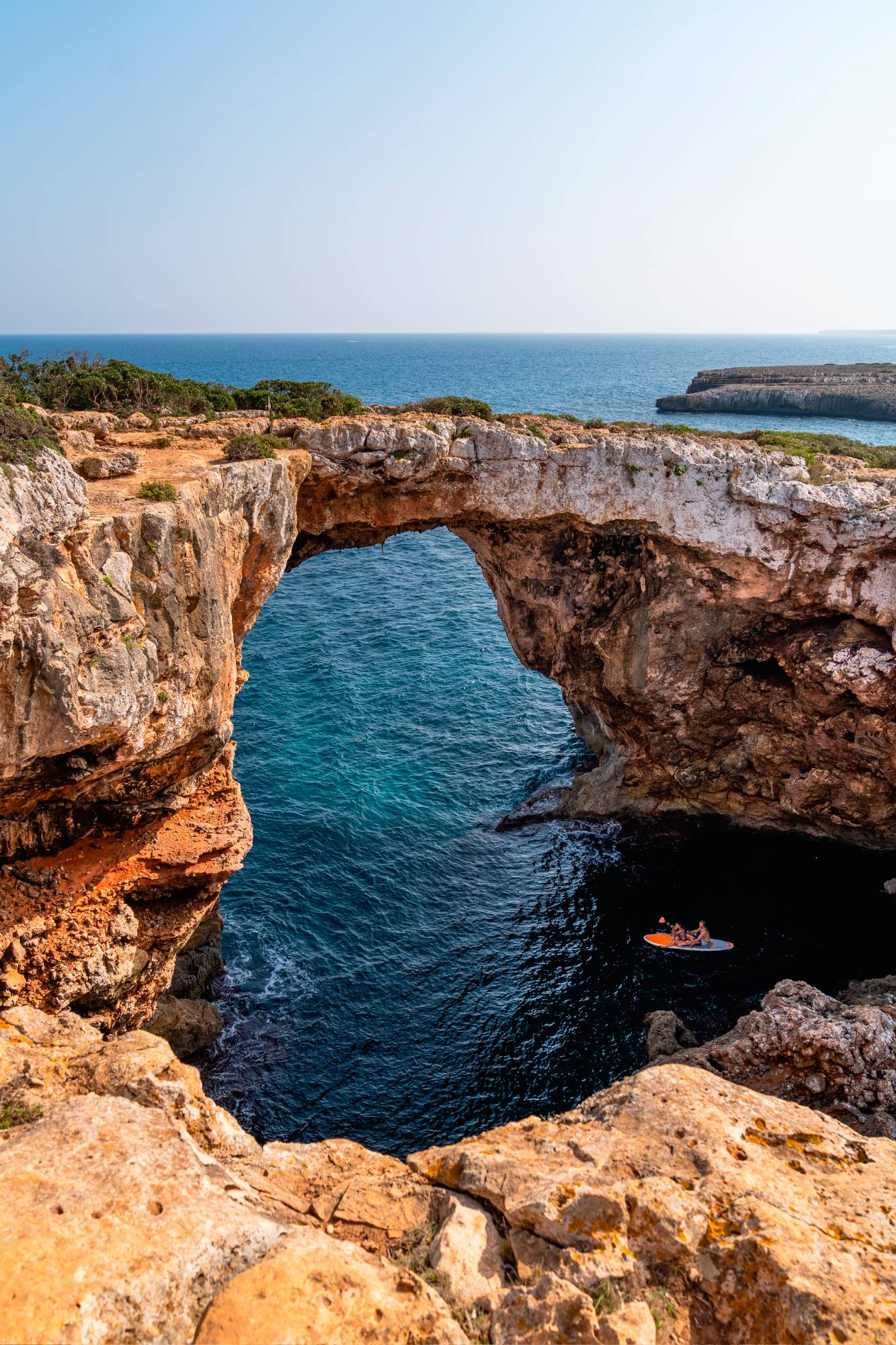close-up-trees-calm-lake